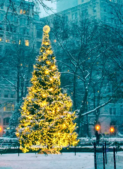 Tour Luces de Navidad de Dyker Heights en Nueva York
