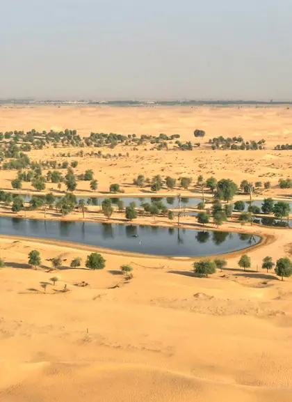 Safari Premium por las Dunas Rojas y el Oasis de Marmoon - Excursiones y Visitas guiadas en español Buendía Emiratos Árabes 