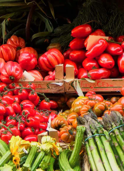 Sabores de la toscana: Degustación gastronómica en Florencia - Visitas guiadas y Excursiones en español Buendía Italia