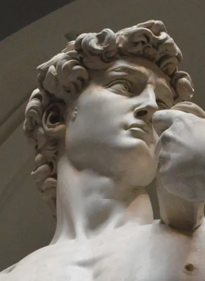 Tour por Florencia y Visita la galería de la Academia