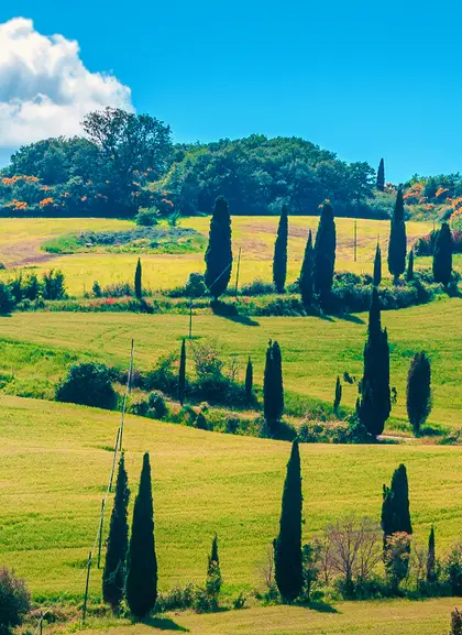 Excursión a Pienza y Montepulciano con cata de vinos - Visitas guiadas y Excursiones en español Buendía Italia