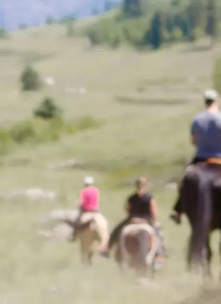 Ruta a Caballo en Arriondas - Experiencias, Actividades, Turismo activo, Ocio al aire libre - Asturias - Buendía 