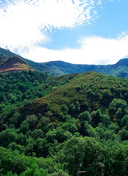 Excursión en Quad por el Algarve con almuerzo