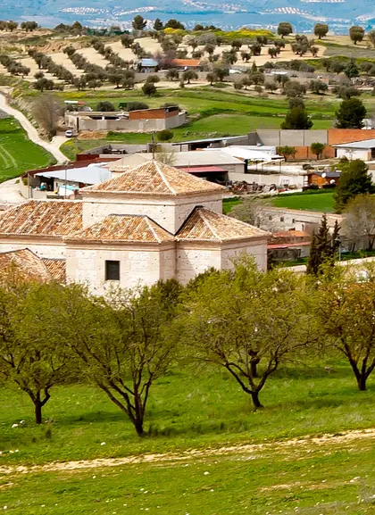 Visita a la Bodega del Nero
