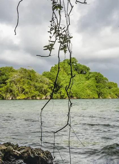 Excursión a los Haitises y Cascada Rancho Yanigua.