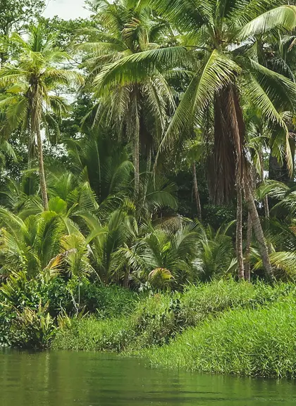 Safari en Punta Cana
