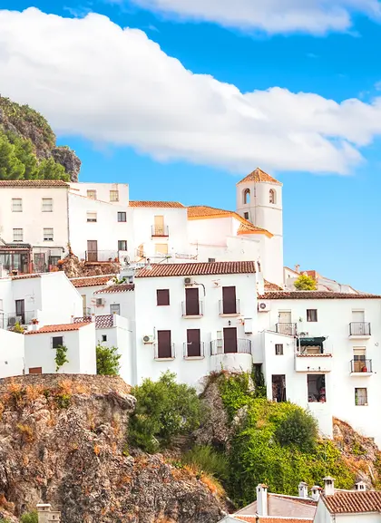 Excursión a los Pueblos Blancos desde Cádiz y Costa de la Luz