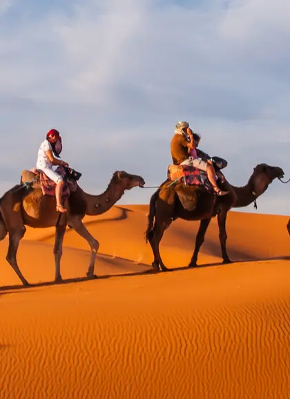 Paseo en camello al atardecer por el Palmeral