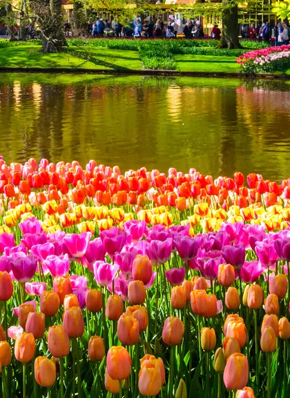 Entrada a los Jardines de Keukenhof