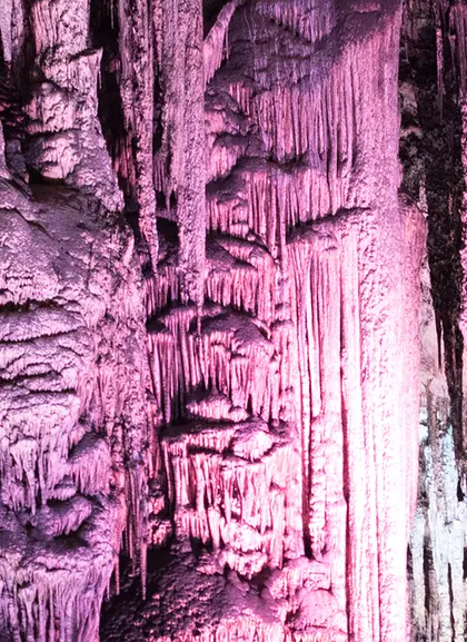Excursión a las Cuevas del Drach