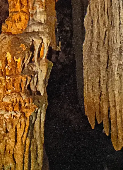 Excursión a las Cuevas del Drach y Hams