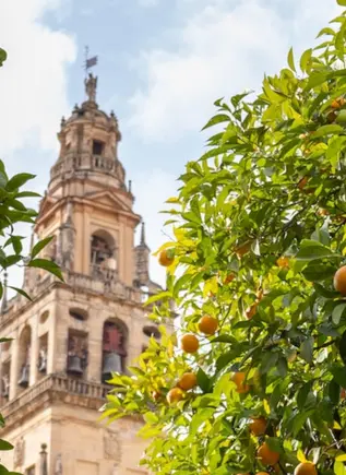 Visitar la Mezquita de Córdoba