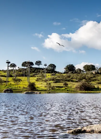 Excursión a los Barruecos desde Cáceres