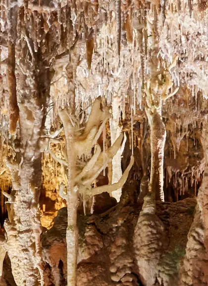Excursión a las Cuevas Hams