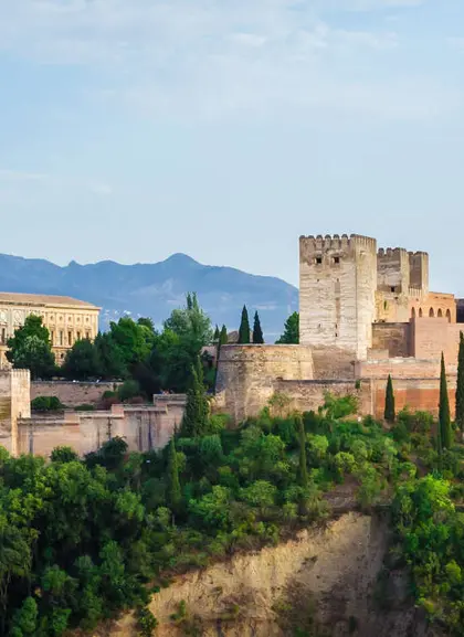 Tour Privado por la Alhambra con entradas