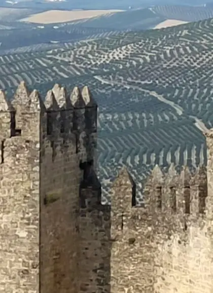 Visita Guiada del Castillo de Sabiote
