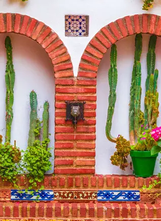 En esta visita guiada a los patios cordobeses nos acercaremos a la cultura de esta ciudad andaluza.