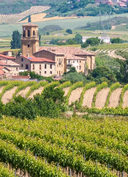 Excursión a la Rioja y sus bodegas desde Bilbao | Buendía
