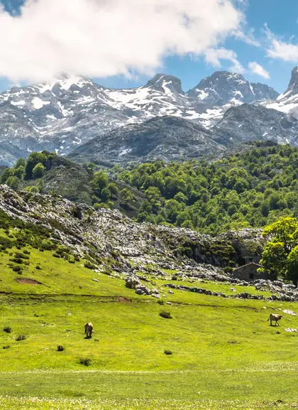 Free Tour en Liébana