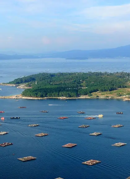 Paseo en barco por la ría y degustación de mejillones en O Grove
