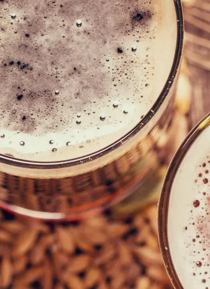 Visita la fábrica de cerveza Valles Lúpulo con cata