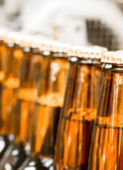 Cata y visita a una fábrica de cerveza en una antigua mina