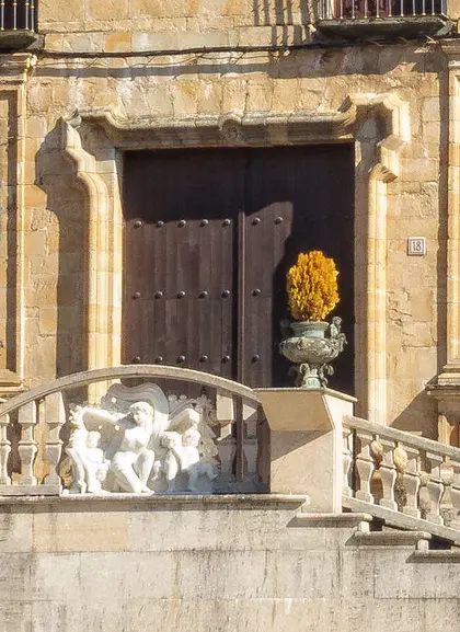 Villafranca al completo: Castillo y Casco Histórico