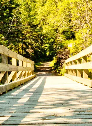 Alquiler de bici por la Senda del Oso