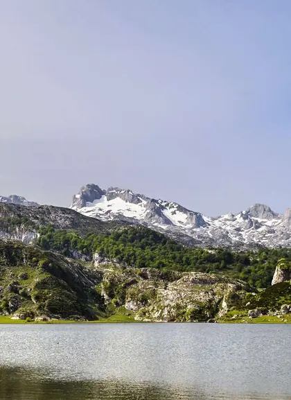 Excursión a los Lagos de Covadonga y Observación de Naturaleza