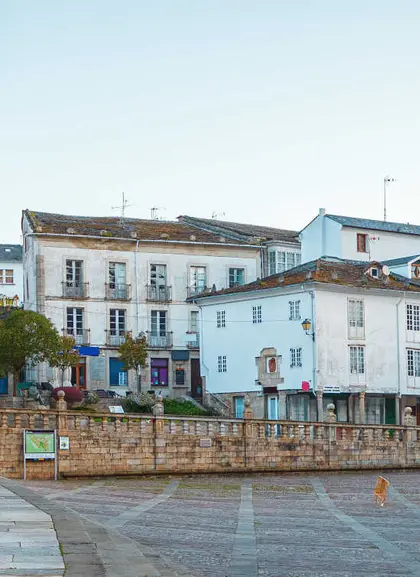 Tour a pie por Lugo con entradas