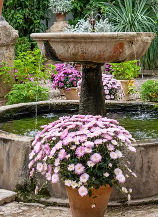 Visitar los Patios de Córdoba