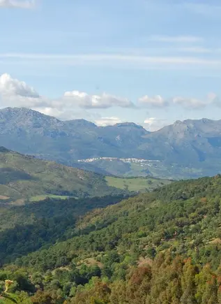 Excursión a Los Reales de Sierra Bermeja con senderismo