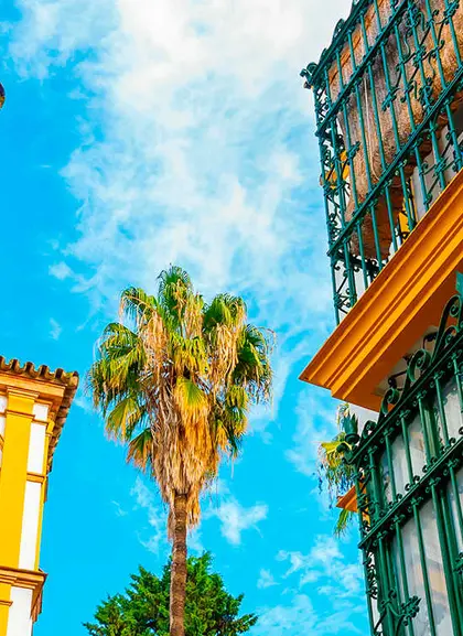 Free tour por el Barrio de Santa Cruz de Sevilla