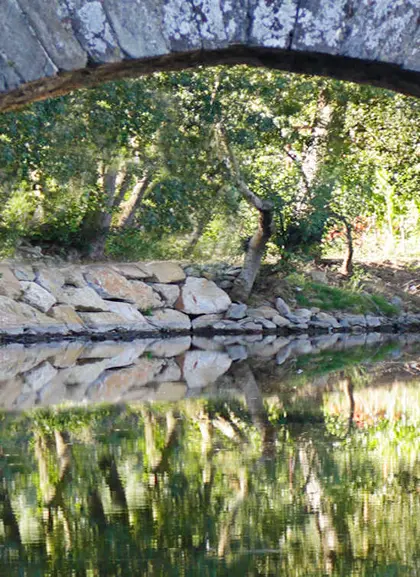 Tour a pie por Molinaseca