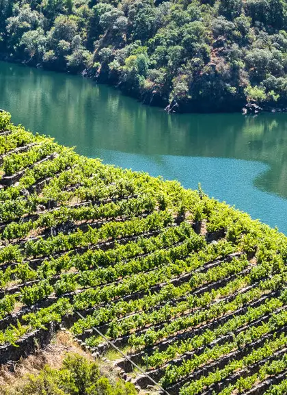 Ribeira Sacra, Galicia, España