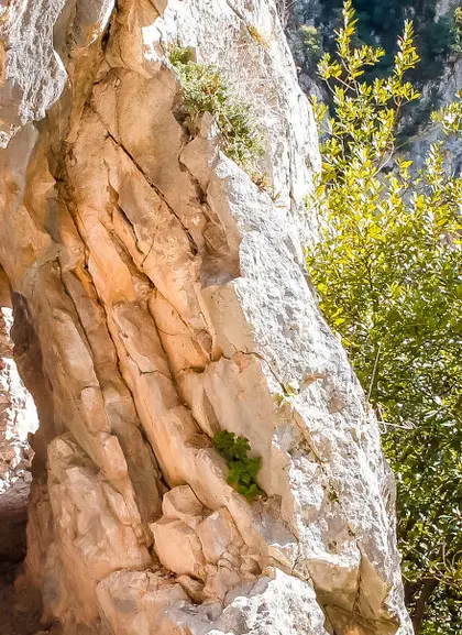 Senda del Oso en Asturias