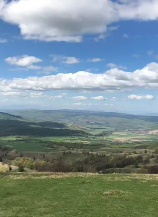 Durante el recorrido también podrás contemplar los paisajes verdes de los senderos.