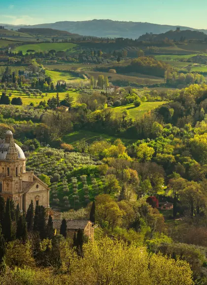 Los bosques y viñedos del entorno de Montepulciano enamoran a todos los turistas.