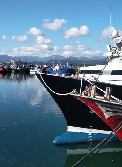 uerto pequero de Santoña con una bella imagen de barcos de diferentes colores.