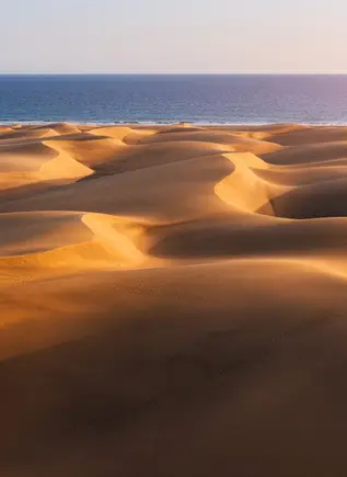 The dunes of Maspalomas will put the finishing touch to this tour of contrasts.