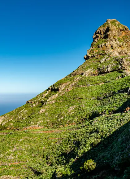 Rublo in the massif of Anaga in Tenerife.