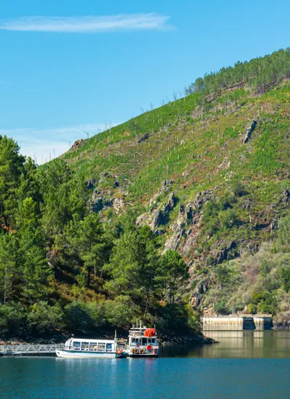 Navegar en catamarán por el río Sil es una experiencia única que permite admirar de cerca los cañones y la tranquilidad del paisaje gallego.