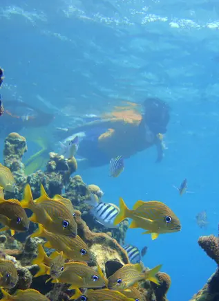 Buceo en las aguas de Colombia