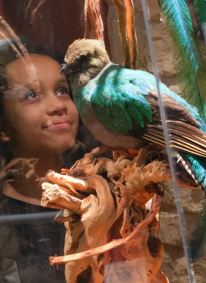 Entre vitrinas y utensilios antiguos, un pájaro aparece donde nadie lo espera. Y por un segundo, todo el museo se detiene.