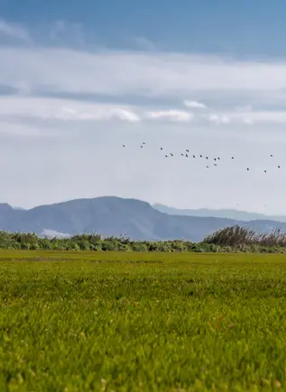 Vistas del horizonte desde la Albufera, Valencia