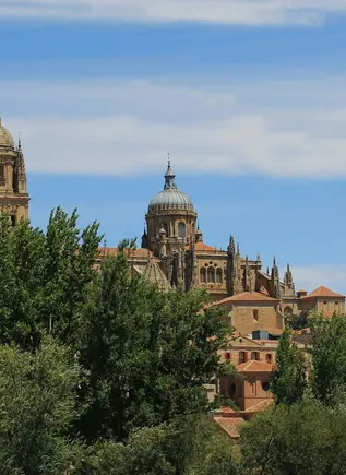 Vista panorámica de la Catedral de Salamanca, España, con sus cúpulas y torre, elevándose sobre los árboles verdes.