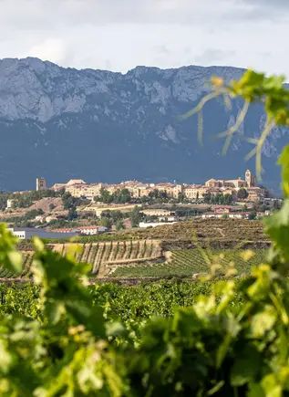 Excursión a Vitoria y La Rioja: Logroño y bodega en Laguardia desde Bilbao