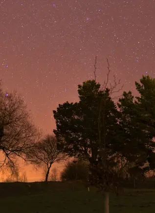 Free tour de los misterios y leyendas de Gijón