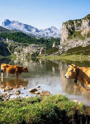 Excursión en 4x4 por los Picos de Europa desde Cangas de Onís