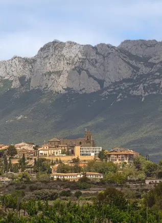 Excursión a Vitoria y La Rioja: Logroño y bodega en Laguardia desde Vitoria 